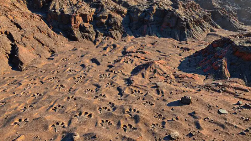 Volcanic landscape reveals dinosaur resource competition