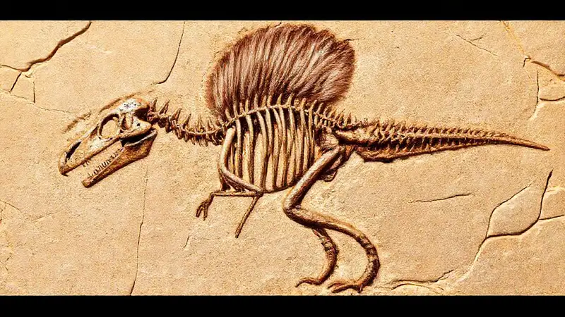 Heres the single-sentence response:Fossil feathers reveal ancient bird research