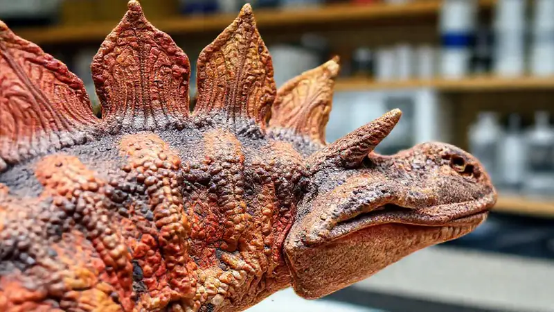 Heres a concise single-sentence response:“Kentrosaurus spines showcase detailed